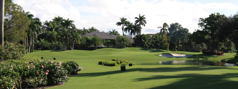 Hole 8